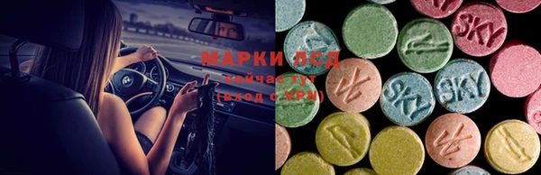 амф Осташков