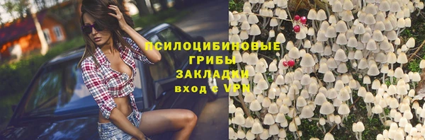 амф Осташков