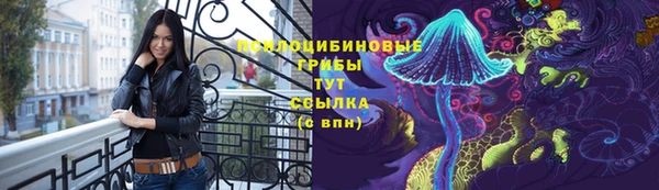 эйфоретик Алексин