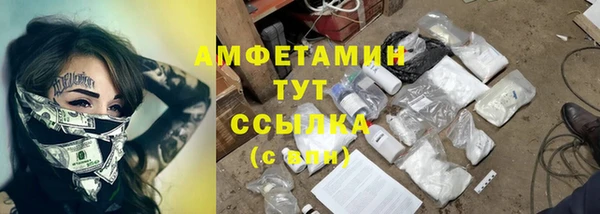 гидропоника Алзамай