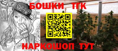 a pvp Майкоп