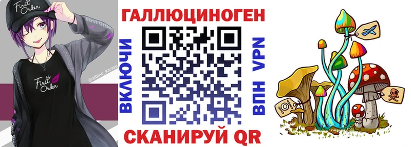 Псилоцибиновые грибы GOLDEN TEACHER  закладки  Узловая 