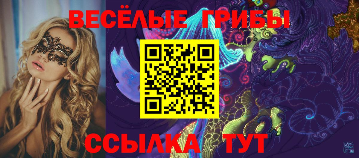 Узловая  Псилоцибиновые грибы MAGIC MUSHROOMS  Вход с VPN 